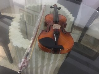 Vendo violín